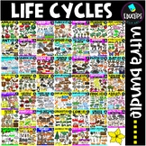 Life Cycles Clip Art Ultra Bundle {Educlips Clipart}