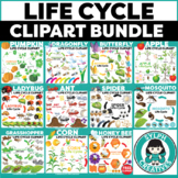 Life Cycle ClipArt Bundle {Set 1} for Printable and Digita