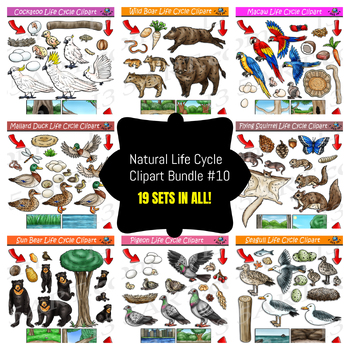Preview of Life Cycle Clipart Mega Bundle #10