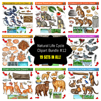 Preview of Life Cycle Clipart Mega Bundle #12