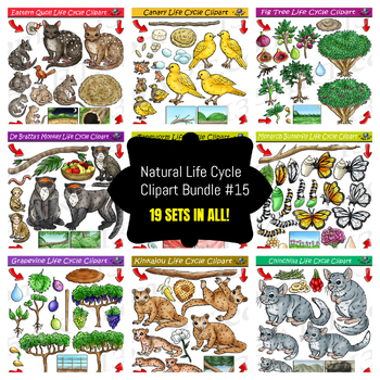 Preview of Life Cycle Clipart Mega Bundle #15