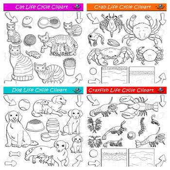 Pika Life Cycle Clipart Set Download - Clipart 4 School