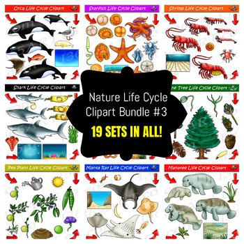Preview of Life Cycle Clipart Mega Bundle #3
