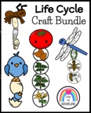 Life Cycle Craft Activity - Ant - Dragonfly - Bird - Tomat