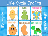 Life Cycle Crafts
