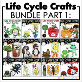 Life Cycle Crafts Bundle