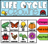 Life Cycle Crowns - Bundle!
