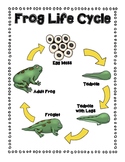 Life Cycle Diagrams
