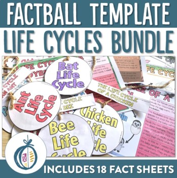 Preview of Life Cycle Factball Printable Craftivity and Fact Sheets MEGA Bundle