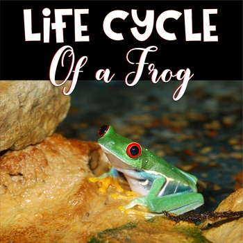 Preview of Frog Life Cycle Educational Unit for PreK-1st Grade