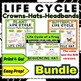 Life Cycle Hats Crowns Headbands Cut and Glue | Plant | bu