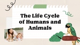 Life Cycle: Humans and Animals