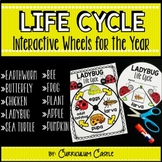 Life Cycle Interactive Wheels for the Year!