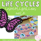Life Cycle Investigation Mats
