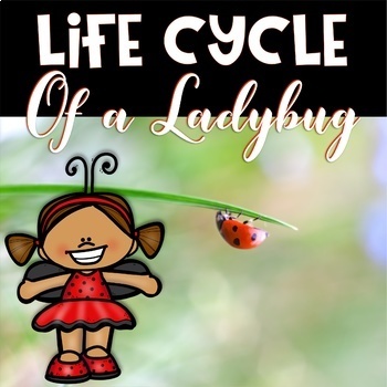 Preview of Ladybug Life Cycle Educational Unit for PreK-1st Grade