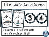 Life Cycle Matching Game