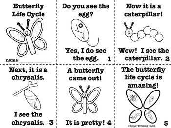 Life Cycle Activity: Easy Readers with Frog, Butterfly, Chicken, Ladybug