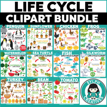 Preview of Life Cycle Moveable ClipArt Bundle {Set 2} for Science Activities