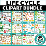 Life Cycle Moveable ClipArt Bundle {Set 2} for Science Activities