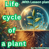 Life Cycle OF a Plant with Lesson plan and 12 Flash Cards 