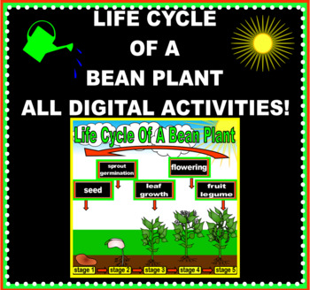Preview of Life Cycle Of A Bean Plant Activities - Digital - NO PREP!