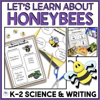Preview of Life Cycle Of A Bee | All About Bees Honeybees Thematic Unit 1st Grade 2nd Grade