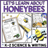 Life Cycle Of A Bee | All About Bees Honeybees Thematic Un