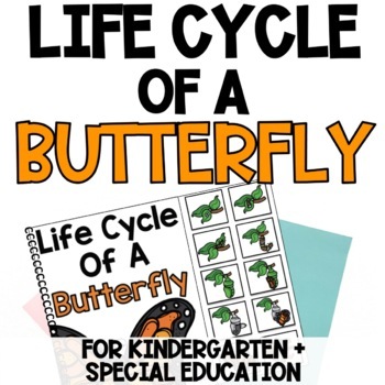 Butterfly Life Cycle Activities - Perfect for Kindergarten and Special ...