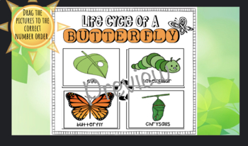 Preview of Life Cycle Of A Butterfly: Interactive Google Slide
