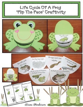 Preview of Life Cycle Of A Frog Activities Frog Craft