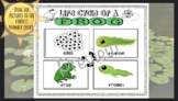 Life Cycle Of A Frog Google Slide