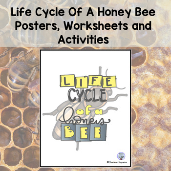 Baby Bee - Lifecycles and Roles of the Honey bee