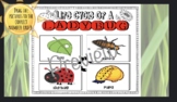 Life Cycle Of A Ladybug: Interactive Google Slide