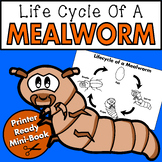 Life Cycle Of A Mealworm Mini-Book | Mealworm Science Activity