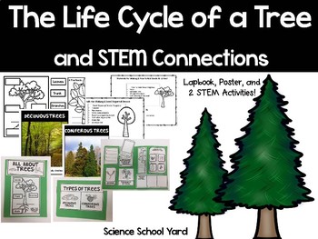 Preview of Life Cycle Of A Tree Lapbook and STEM Pack 