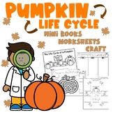 Life Cycle Of a Pumpkin -Mini books & Investigation worksheets