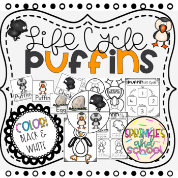 Preview of Life Cycle PUFFIN