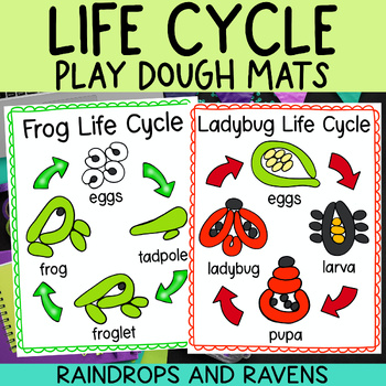 Preview of Life Cycle Play Dough Mats - Apple, Bee, Butterfly, Frog, Ladybug, Pumpkin, Sunf