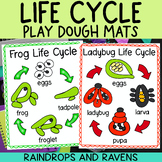 Life Cycle Play Dough Mats - Apple, Bee, Butterfly, Frog, 