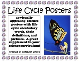 Life Cycle Posters