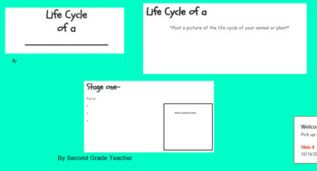 Preview of Life Cycle Power Point Template- Research