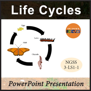 Preview of Life Cycle PowerPoint Plant Frog Butterfly
