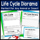 Life Cycle Project: Life Cycle Diorama Use with ANY Animal