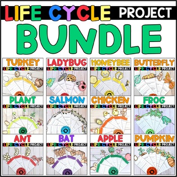 Preview of Life Cycle Projects BUNDLE - Life Cycle Research Reports and Crafts