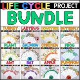 Life Cycle Projects BUNDLE - Life Cycle Research Reports a