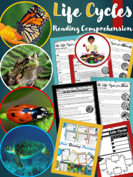 Preview of Life Cycle Reading Comprehension Freebie
