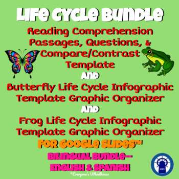 Preview of Life Cycle Readings and Graphic Organizers Bilingual Bundle for Google Slides™