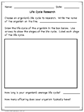 Life Cycle Research and Drawing Worksheets