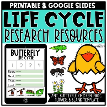 Preview of Life Cycle Research for Butterfly, Frog, Plants for Distance Learning