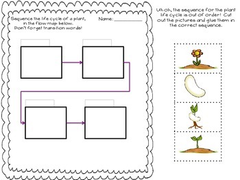 Life Cycle Sequencing Bundle by Balke's Resources | TpT